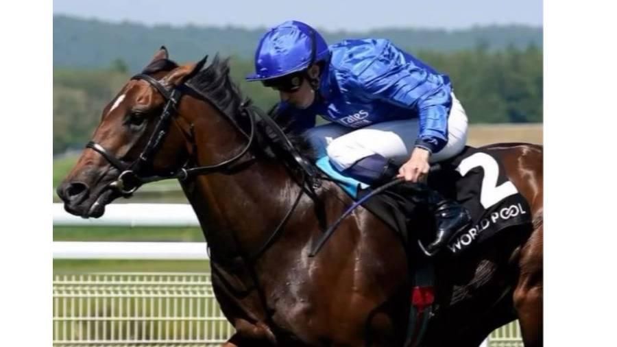 فيديو| «أوموري سيتي» لجودولفين بطل سباق «فينتيج ستيكس»