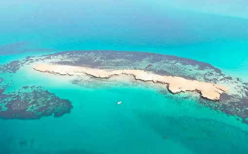 كم تبعد جزيرة فرسان عن جازان؟ وكم عدد الجزر فيها؟