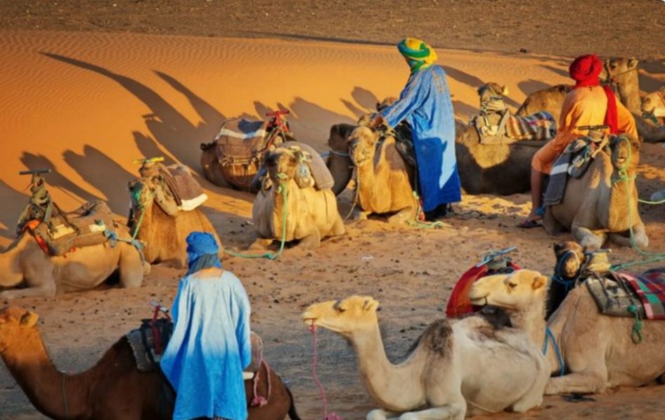 المسعود وش يرجعون .. أصل عائلة المسعود ونسبها