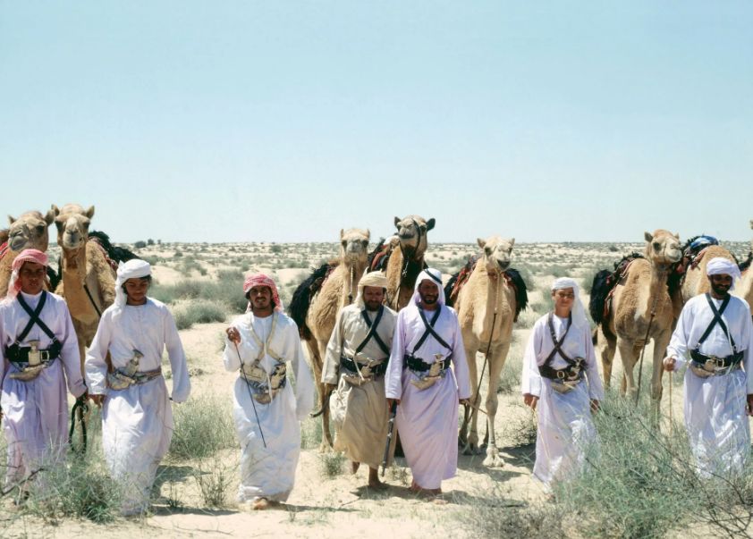 البارقي وش يرجع؟! نسب البارقي وديرتهم - موقع الخليج الان