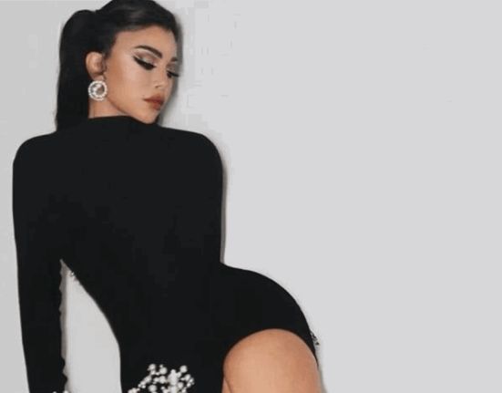 “ولعت” بين هيفاء وهبي وشركة روتانا.. والسبب “بابا فين”!