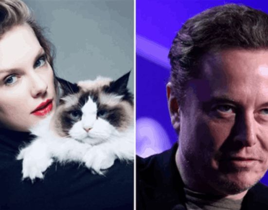 “سأمنحك طفلا”… إيلون ماسك يفاجئ المتابعين بتعليقه على دعم تايلور سويفت لكامالا هاريس! (صور)