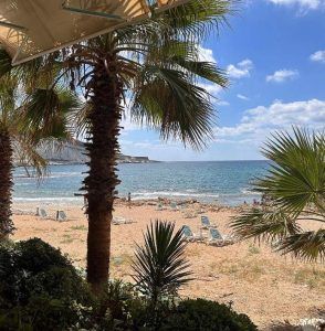 الإعلامية ديالا مكي: “كمية مشاعر متضاربة عم بعيشها كل لبناني” (صور)