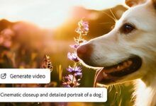 أدوبي تعلن نموذج توليد الفيديو بالذكاء الاصطناعي Firefly Video - موقع الخليج الان