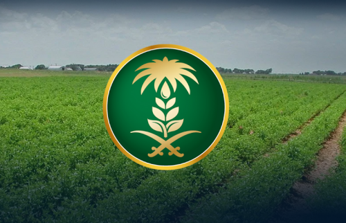 وزارة الزراعة السعودية تكشف | تفاصيل برنامج التدريب التعاوني في جميع المناطق السعودية