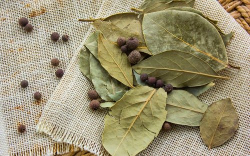 اقضي على الصراصير نهائيا .. طريقة فعالة للقضاء على الصراصير الصغيرة نهائيا بخلطة هتبهرك النتيجة