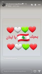 شكران مرتجى: بحبك يا لبنان