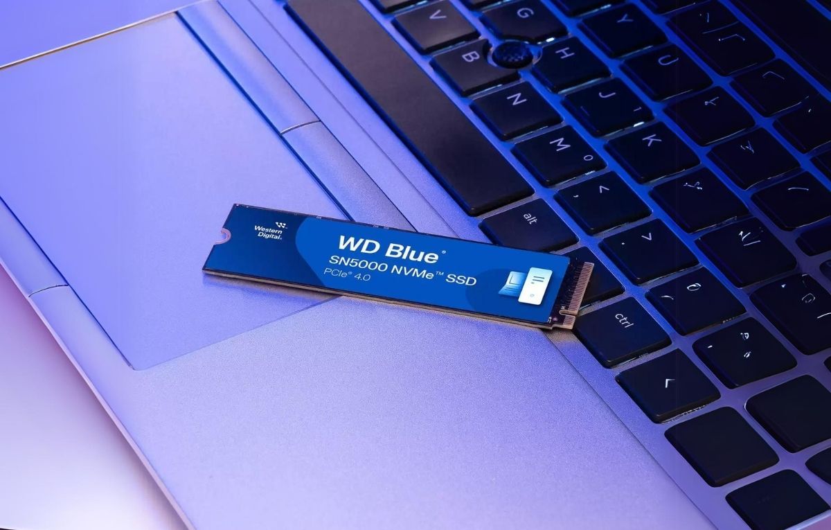 “WD Blue SN5000”: حل التخزين الأمثل للإبداع والعمل والألعاب - موقع الخليج الان