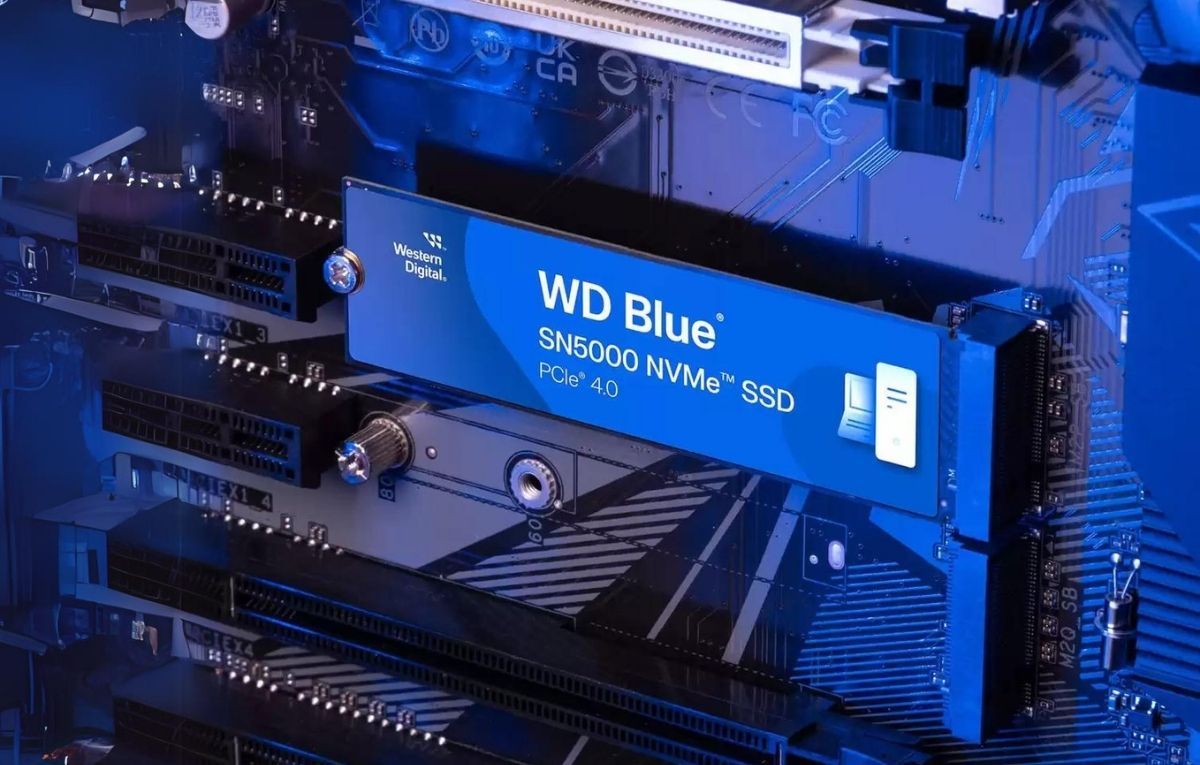 “WD Blue SN5000”: حل التخزين الأمثل للإبداع والعمل والألعاب - موقع الخليج الان