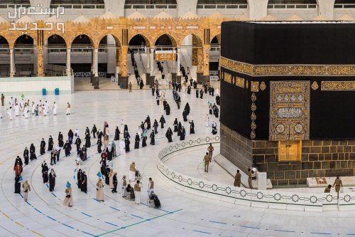 رابط تسجيل الحج البحرين 2025 – 1446 منصة الحج الإلكترونية haj.gov.bh