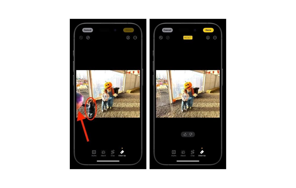 كيفية إزالة العناصر غير المرغوب فيها من الصور بالذكاء الاصطناعي في iOS 18.1 - موقع الخليج الان