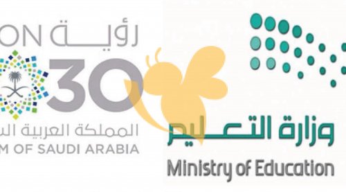 دور الرخصة المهنية في تحسين قدرات المعلمين