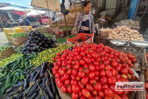 "الطماطم بــ5 جنيه" أسعار الخضروات في سوق العبور اليوم الثلاثاء 12 نوفمبر 2024 والفاكهة للمستهلك