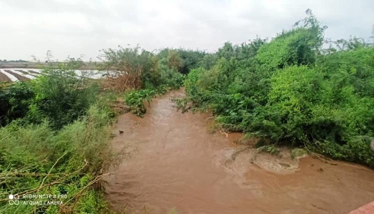 بالصور.. اشجار السيسبان والرواسب الطينية تغلقان بوابات قنوات الري بلحج