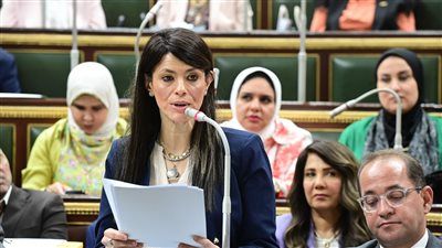 وزيرة التخطيط أمام البرلمان: الأوضاع الإقليمية تزيد من حالة عدم اليقين بشأن خطة العام القادم - الخليج الان