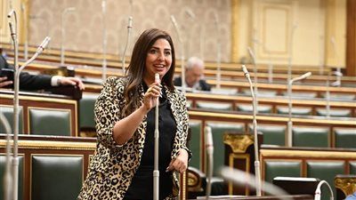 نشوى الشريف "نائبة التنسيقية : اشتراط التدريب في الاتفاقيات البترولية خطوة مهمة لبناء كوادر مصرية قادرة على قيادة القطاع - الخليج الان