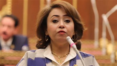 أمين سر حقوق إنسان الشيوخ: بيان الدول العربية والإسلامية رسالة رفض جماعي للاعتداءات الإسرائيلية - الخليج الان