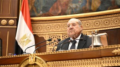 مجلس الشيوخ يناقش ظاهرة التنمر ومستقبل كليات التربية بمصر الأسبوع المقبل - الخليج الان