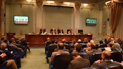 محلية النواب تناقش طلب أبو السعد بشأن تأخر تحويل فوة لـ مدينة ذات طابع مميز - الخليج الان