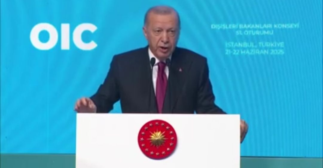 أردوغان: علينا التعاون والتضامن لتعرية إسرائيل أمام دول العالم - الخليج الان