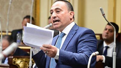 النائب محمد عبد الله زين الدين يطالب بمكافحة انتشار إعلانات الدروس الخصوصية على الجدران - الخليج الان