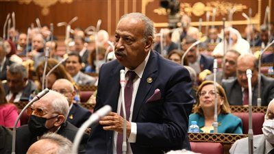 النائب هاني العسال: مكافحة ظاهرة التنمر والعنف داخل المدارس أهم أولويات ملفات وزارة التربية والتعليم - الخليج الان