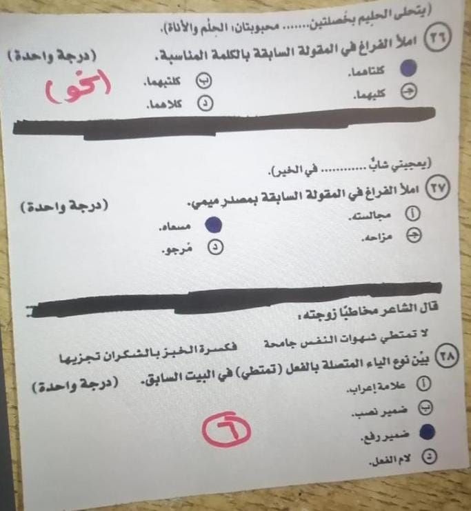 اعرف درجتك كام.. حل امتحان اللغة العربية للثانوية العامة 2025 بالكامل وإجابة المقالي - الخليج الان