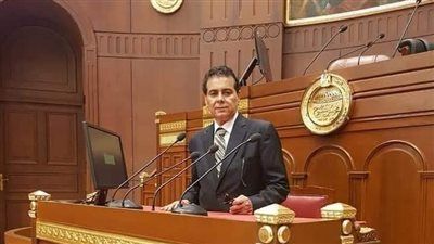 «منعرفش الفرق بين أيمن عاشور وإمام عاشور».. ونائب يوجه انتقاداً لوزارة التعليم العالي - الخليج الان