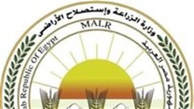 لتصبح جنة خضراء.. ما هي خطة الدولة للتوسع في الزراعة ومكافحة التصحر والجفاف ؟ - الخليج الان