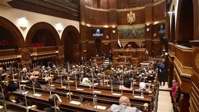 جهود برلمانية متكاملة لمواجهة تحديات التعليم والتنمر في مصر - الخليج الان