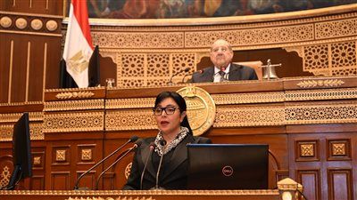 النائبة ريهام عفيفي نستعرض طلبها أمام الشيوخ بشأن سياسة الحكومة لمواجهة التحرش داخل المدارس - الخليج الان