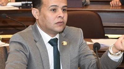 صناعة البرلمان: توجيهات الرئيس السيسي بتكثيف الاحتياطيات تعكس رؤية استباقية لحماية الاقتصاد المصري - الخليج الان