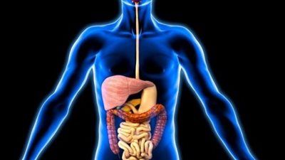 عادات يومية تُعجّل شيخوخة الأمعاء… كيف تحمي جهازك الهضمي؟ - الخليج الان