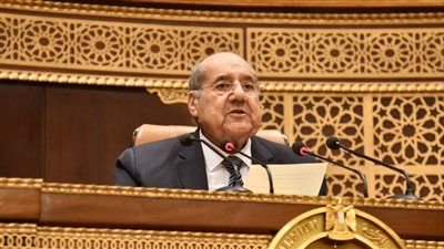 مجلس الشيوخ يشكر تنسيقية شباب الأحزاب والسياسيين ويشيد بإسهامات نوابها في إنجازات المجلس - الخليج الان