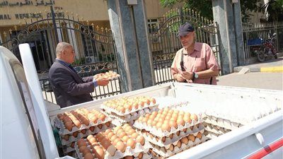 "الإصلاح الزراعي" يطلق منافذ متنقلة لطرح البيض البلدي والأسماك للمواطنين بأسعار مخفضة - الخليج الان