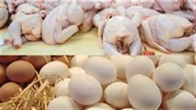 أسعار الدواجن والبيض اليوم الأربعاء 25 يونيو في البورصة والأسواق - الخليج الان