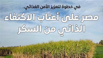 الحكومة: بدءًا من 2026 لن تكون مصر بحاجة لاستيراد السكر.. وأرصدة السكر التمويني تكفي 13 شهرًا - الخليج الان