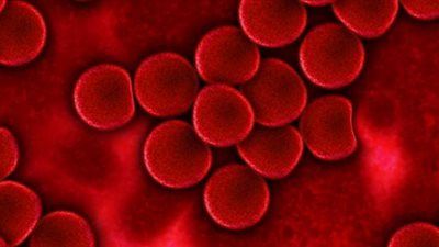 حيرت العلماء.. اكتشاف فصيلة دم جديدة فائقة الندرة لم تر من قبل - الخليج الان