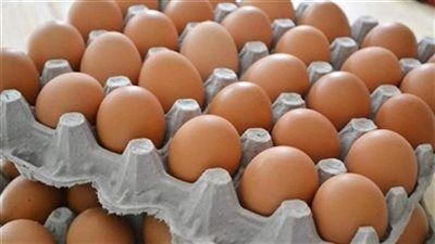أسعار كرتونة البيض البلدي والأحمر والأبيض اليوم الخميس 26 يونيو في الأسواق - الخليج الان
