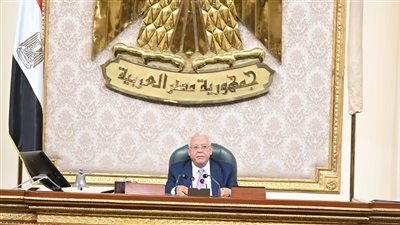 أجندة مزدحمة تحت القبة الأسبوع المقبل.. الإيجار القديم والتصرف في أملاك الدولة يتصدران مناقشات النواب - الخليج الان