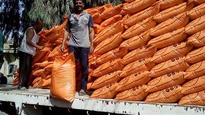 قفزة جديدة في أسعار الأسمدة الحرة تُربك المزارعين.. ومخاوف من زيادة أسعار المحاصيل - الخليج الان