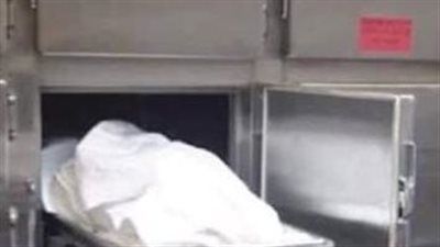 مصرع عامل أثناء تركيب فراشة اثر سقوطه من أعلي عمود إنارة في الفيوم - الخليج الان