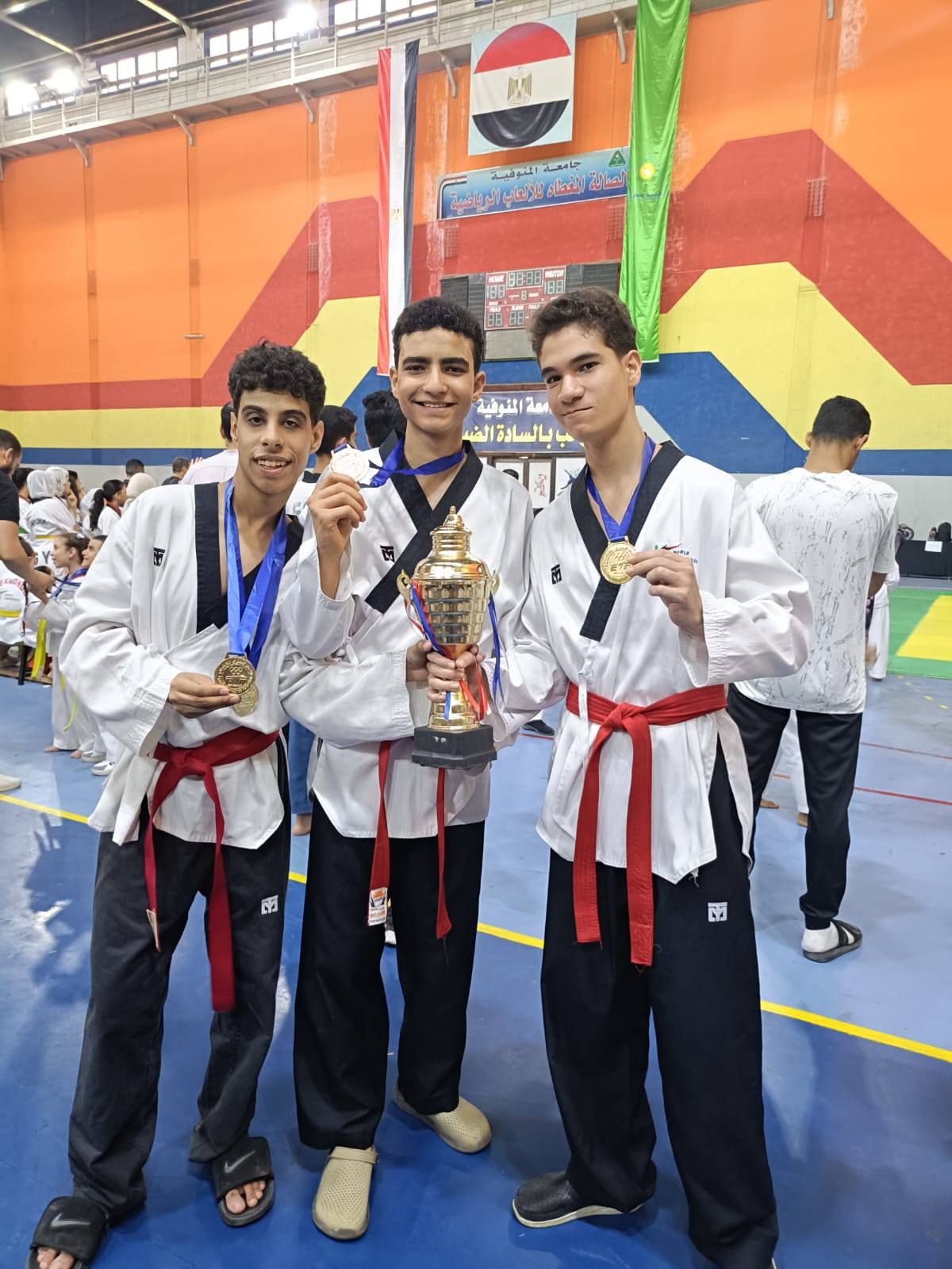 67 ميدالية متنوعة.. تايكوندو نادي الحوار يحصد الذهب في بطولة وسط الدلتا - الخليج الان