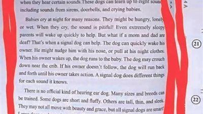 جروبات الغش تدعي تسريب امتحان اللغة الإنجليزية للثانوية العامة 2025.. والتعليم توضح - الخليج الان