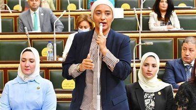 النائبة أميرة أبو شقة ترفض قانون الإيجار القديم وتطالب برحيل الحكومة: هناك أزمة ثقة وتضارب في البيانات - الخليج الان