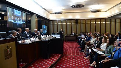 مستشار وزير التعليم يستشهد بحكم للمحكمة الدستورية.. والنواب: الحكم يؤكد صحة انتقاداتنا وصياغات مستشار الوزير هي السبب في الإشكاليات الدستورية في مشروع القانون - الخليج الان