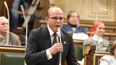 النائب عمرو القطامي: إنشاء سوق عربية مشتركة للكهرباء يعزز استقرار القطاع والتصدير للخارج - الخليج الان