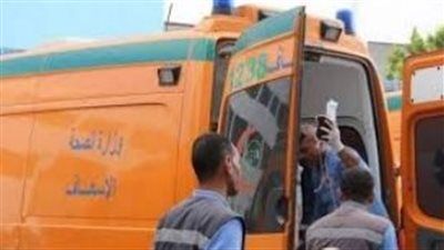 خلافات زوجية تتحول إلى جريمة مروعة في بدر: زوج يطعن زوجته وشقيقها ويشعل النار في الشقة - الخليج الان