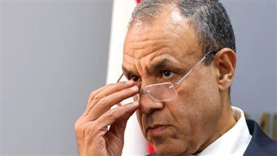 وزير الخارجية: نشكر الدنمارك على دعمها للمصالح المصرية داخل أروقة الاتحاد الأوروبي - الخليج الان