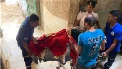 استجابة فورية من الداخلية لنقل سيدة مسنة إلى المستشفى بدار السلام - الخليج الان